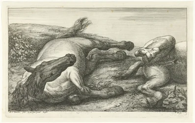Kaksi kaatunutta hevosta, vasen edestä katsottuna Dead Horses (sarjan nimi)