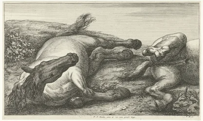 Kaksi kaatunutta hevosta, vasen edestä katsottuna Dead Horses (sarjan nimi)
