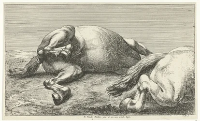 Kaksi kaatunutta hevosta, oikea sivulta katsottuna Dead Horses (sarjan nimi)