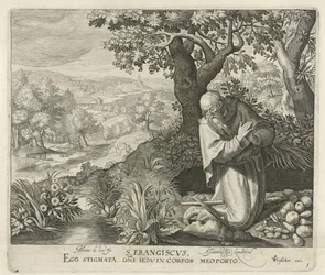 H. Franciscus Heiligen (sarjan nimi)