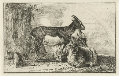 vuohet Eläimet (sarjan nimi) Zoographiam (sarjan nimi)