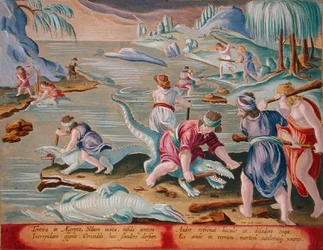 Krokotiilien tappaminen kepeillä ja mailoilla, levy 88 julkaisusta "Venationes Ferarum, Avium, Piscium" (Metsästys: Wild Beasts, Birds, Fish), kaivertanut Jan Collaert (1566-1628), julkaissut Phillipus Gallaeus of Amsterdam (käsinvärinen kaiverrus)