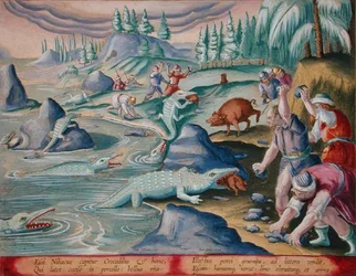 Krokotiilien vangitseminen Niilin rannoilla käyttämällä sidottuja sikoja syöttinä, levy 87 julkaisusta "Venationes Ferarum, Avium, Piscium" (Metsästyksestä: Wild Beasts, Birds, Fish), kaivertanut Jan Collaert (1566-1628), julkaisija Phillipus Gallaeus Amst