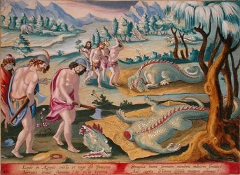 Päänleikkauskrokotiilit, levy 46 julkaisusta "Venationes Ferarum, Avium, Piscium" (Metsästys: Wild Beasts, Birds, Fish), kaivertanut Jan Collaert (1566-1628), julkaissut Phillipus Gallaeus of Amsterdam (käsinvärinen kaiverrus)
