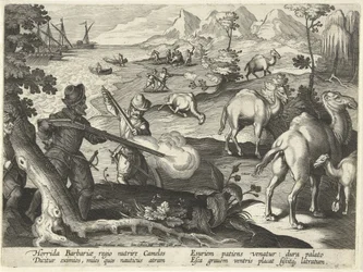 Merimiehet hirvittävässä barbaarimaassa tappavat kameleja musketeilla lievittääkseen nälkäänsä. Esimerkki teoksesta "Venationes, Ferarum, Avium, Piscium" (Metsästys: Wild Beasts, Birds, Fish), kaiverrettu Jan Collaert (1566-1628), pubi. kirjoittanut Philli