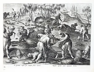 Porcupines kaivetaan esiin ja vangitaan, levy 54, kuva julkaisusta "Venationes, Ferarum, Avium, Piscium" (Metsästys: Wild Beasts, Birds, Fish), kaiverrus Jan Collaert (1566-1628), pub. kirjoittanut Phillipus