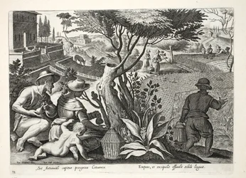 Metsästysviiriäinen, kuvitus julkaisusta "Venationes, Ferarum, Avium, Piscium" (Metsästys: Wild Beasts, Birds, Fish), kaiverrettu Jan Collaert (1566-1628), pub. kirjoittanut Phillipus Gallaeus, Amsterdam