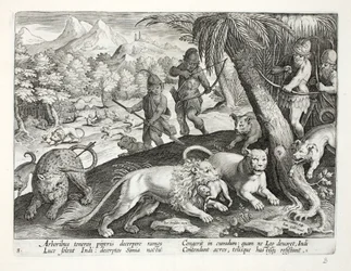 Intiaanit ampuvat nuolilla leijonia, jotka ovat vangiksineet apinoita suuhunsa, kuvitus teoksesta "Venationes, Ferarum, Avium, Piscium" (Metsästys: Wild Beasts, Birds, Fish), kaiverrettu Jan Collaert (15)