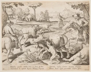 Buffalo Hunt, levy 27 Hunts of Game, Birds and Fish -sarjassa