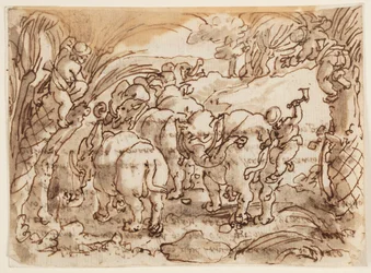 Recto: Troglodytesin metsästämät norsut [luolamiehet]; Verso: Plinius Vanhemman luonnonhistoriaan liittyvä kirjoitus, kirja 8, luku 8