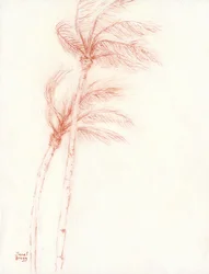Olipa kerran trooppinen loma Palmut, n.2019 (lyijykynä paperille)