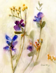 Sweet Pea Floral for Cierra, n. 2020 (vesiväri paperille).