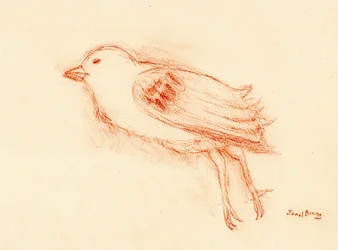 Vulerability and Death in Summer (Dead Bird by my Stairwell III) n.2021 (pastelli paperille)