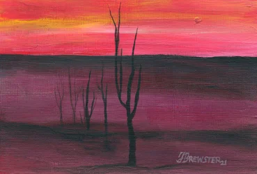 Eläväinen aavikon auringonlasku