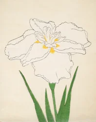 Bandai-Ei, 1