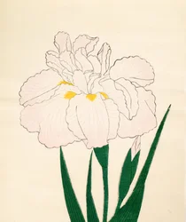 En-Yo-No-Ten, nro 73, 1890 (värillinen puupainatus)