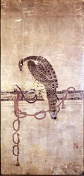 Falcon. 1400-luvun japanilainen Daysenin teos. Genova, Museo Chiossone.