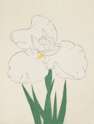 Fuji - ei lunta. 13, 1890