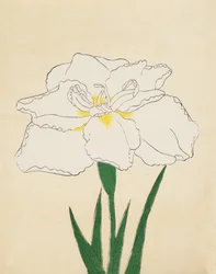 Haku-O-Den, nro 40, 1890 (värillinen puupainatus)