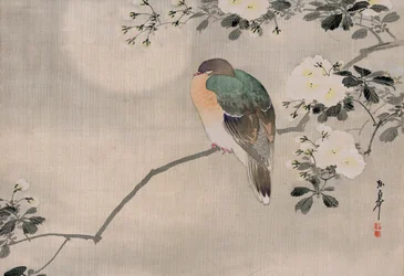 Japanilainen silkkimaalaus puukyyhkystä