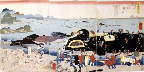 Valaiden kalastus Japanissa