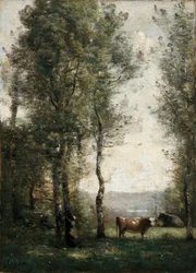 Metsäinen maisema, jossa lehmät raivaamolla