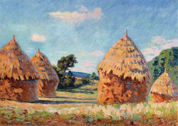Heinäsuovat, n. 1886