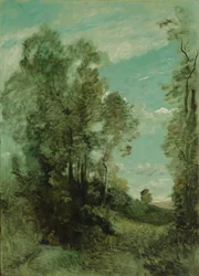 Metsämaisema (aamu)