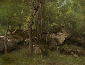 Kiviä Fontainebleaun metsässä