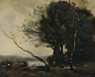Taivutettu puu, 1855-1860, c1915