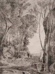Pieni Paimen