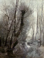Virta