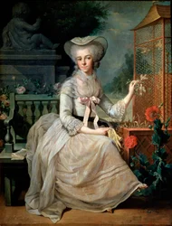 Nuori nainen häkissä, 1784