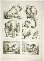 Oeuvres de J. B. Huetin levy 32/38