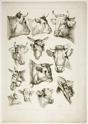 Oeuvres de J. B. Huetin levy 35/38