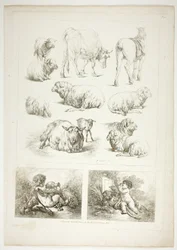 Levy 8/38 teoksesta Oeuvres de J. B. Huet