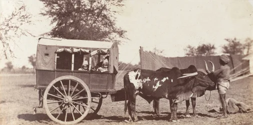 [Campbell Twins in a Shigram, General Governor