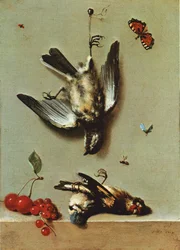 Luonto morte avec trois oiseux morts, des groseilles, des cerises ja des hyönteiset
