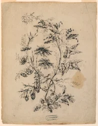 Piirros, Fantastisen puun oksa, 1775-1800