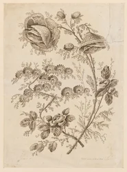 Flower Bough, "Cahier de Fleurs Singuliers"