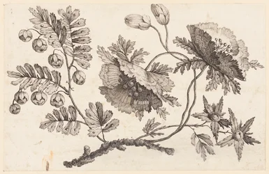 Flower Bough, "Chinese Flower Collection" -kokoelmasta
