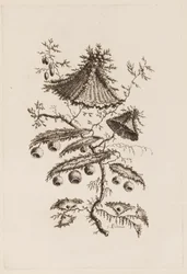 Kukkaoksa, "Fleures Persannes"
