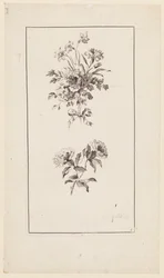 Flowers Boughs, "Divers Bouquets d