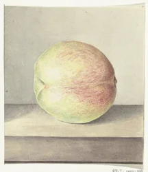 Persikka