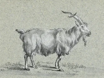 Seisova vuohi, Jean Bernard