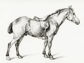 Jean Bernardin (1775–1883) maalaus ”Seisova hevonen”