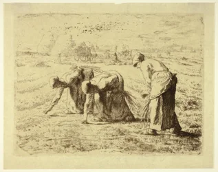 Gleaners