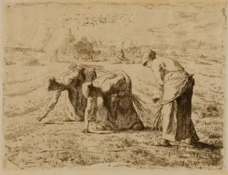 Gleaners