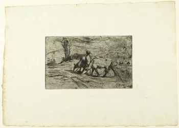 Kaksi lehmää
