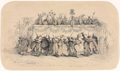 Hyönteispallo, 1835.